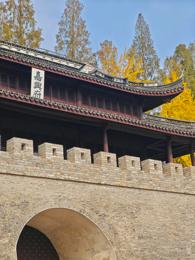 咔嚓~接下来的南湖，金灿灿！