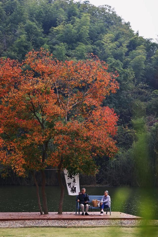 在苏家理想村，一场乡野游乐集正等你赴约