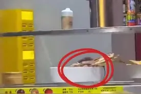 重庆一旋转小火锅店内老鼠吃“自助” 涉事门店及商场内所有商家开展消杀工作图片