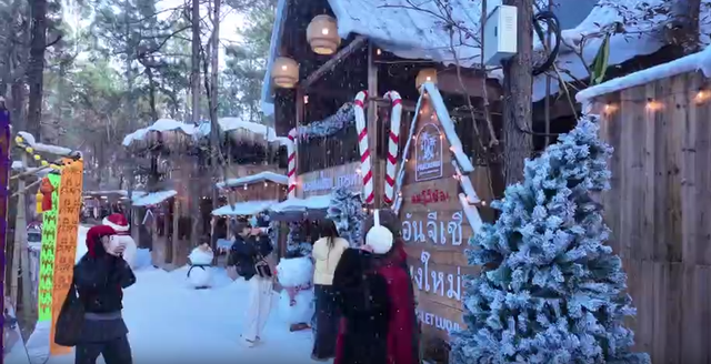 “南国雪乡”出圈！浙江冰雪经济点燃长三角冬日激情