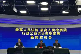 房企欠缴土地出让违约金，自然资源局不作为，检察监督促履职图片