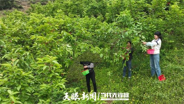 【多彩小水】绿水青山入画来,此间风景正好|多彩之绿