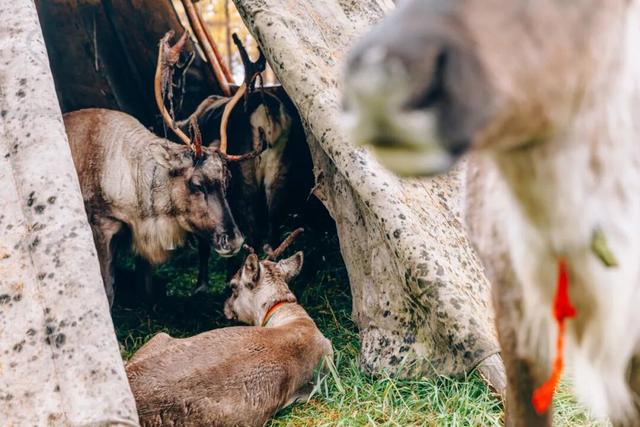 欢迎来到，秋天的廊道