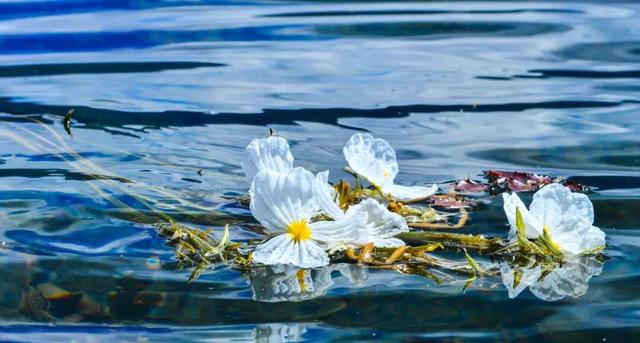 【冬季暖阳 凉山不凉】最全美食美景旅行攻略出炉！第一次来泸沽湖旅游必看！