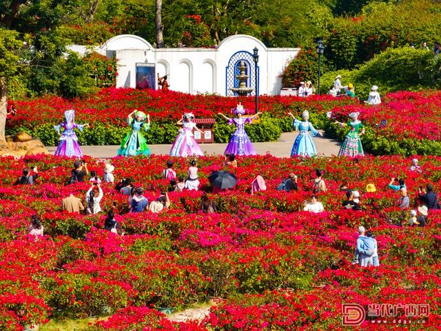图集｜冬日青山美 游人醉其间