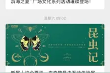 3月10日起报名！市民艺术夜校春季班火热开班啦！图片