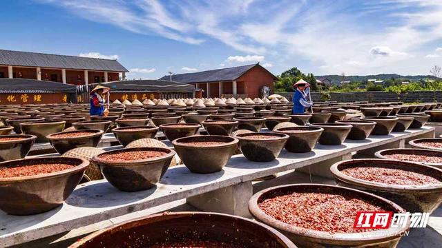 双峰有多高 | 我们奔县吧·双峰县篇