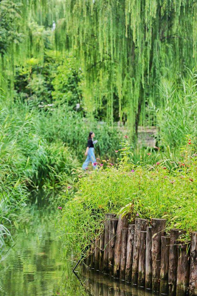 大美东城｜俯仰之间皆胜景 行停之处即桃源