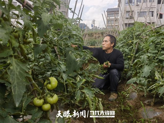 【多彩小水】绿水青山入画来，此间风景正好｜多彩之绿