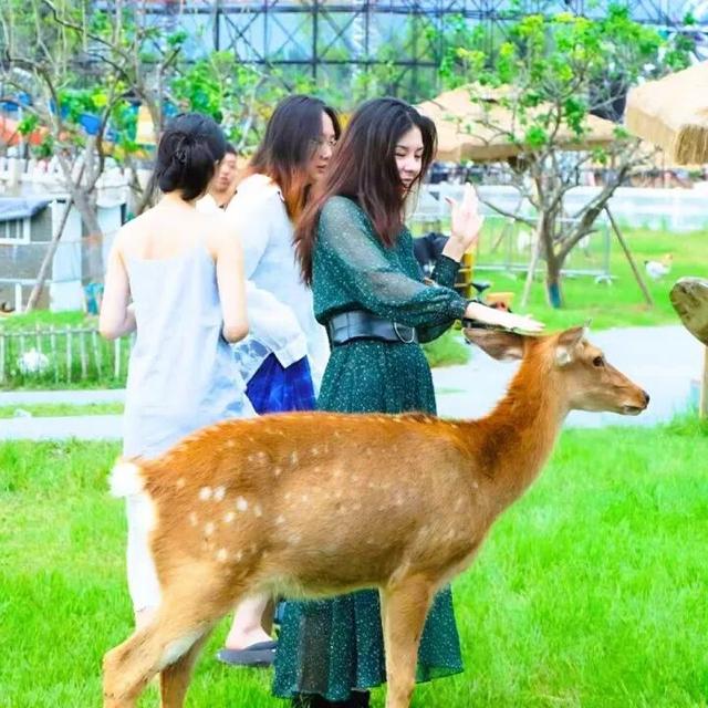 “双节”游金堂，开启一场甜蜜幸福之旅！