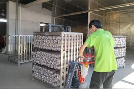 践行青春使命 担当青年之责图片