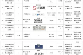 首批中国消费名品名单公示；“头等舱”“LAZBOY”等电动沙发不合格图片