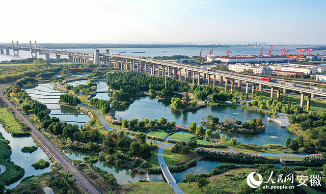 芜湖朱家桥尾水净化生态公园：有“颜”更有“料”