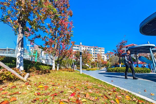 留住秋色！37处观赏点“落叶缓扫”
