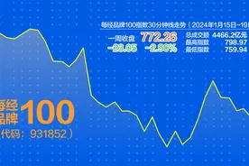 历史大底形态显现？ 每经品牌100指数酝酿反弹图片