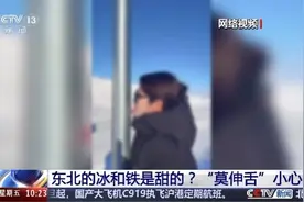 东北铁栏杆是甜的？打出溜滑也能受重伤？这些操作很危险 轻易别尝试图片