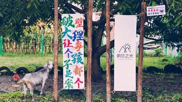 官方通报：走失8岁男童已遇难!涉事独立营被查，创办人也是自闭症孩子家长，知情人：他凭情怀做事