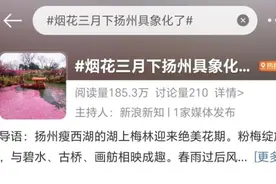 “烟花三月”到底是几月？“烟花”又是什么花？图片