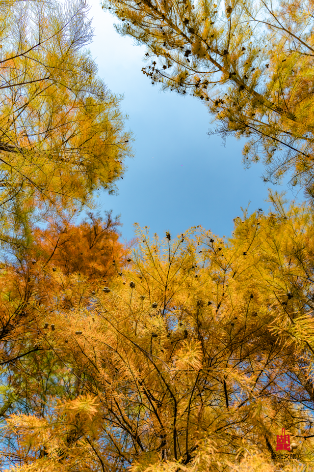 抓住晴天尾巴，徒步青龙山！