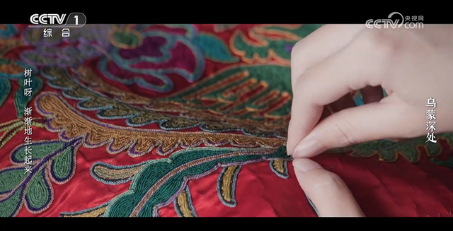 走！跟着央视热播剧，打卡毕节