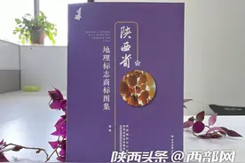 来陕西不知道买啥特产？翻翻《陕西省地理标志商标图集》就知道了图片