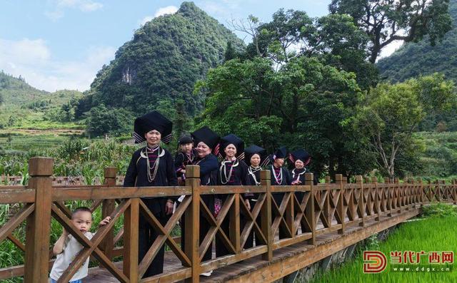 探访那坡尼的呀田园 看交通助力民族文化地绽放