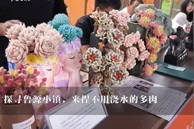 探寻鲁源小镇，来“捏”不用浇水的多肉图片