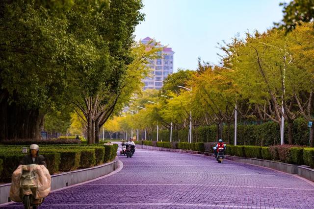 域见上海·域见奉贤｜奉浦秋日限定！这三条宝藏路线，承包所有秋日浪漫，刷爆朋友圈就靠它