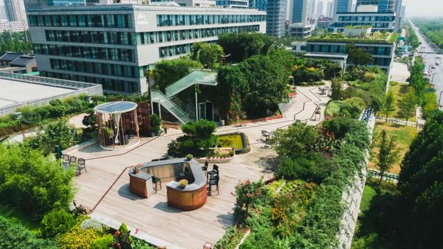 城市建在绿意盎然的花园里