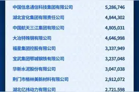 鄂企百强！松滋3家企业上榜图片