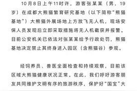 19岁男子在成都熊猫基地私放无人机 被处以行政处罚并终身禁入园区图片
