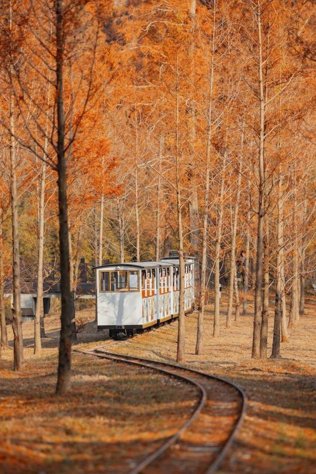 组图|黄海1号，331公里的秋日画廊