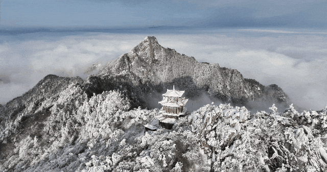 绝绝子！除了绝绝子，我还能怎么夸洛阳