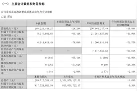 V观财报｜金陵体育第三季度净利降超六成图片