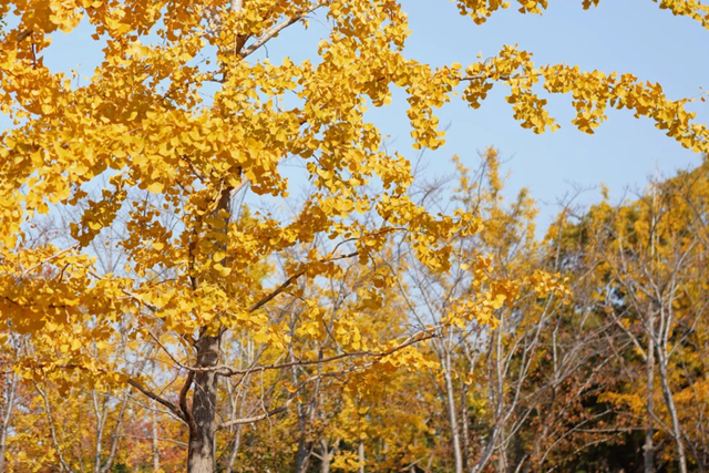 网红纷纷奔赴这！上海这座通往 “欧洲城堡” 的绝美旋梯火了！
