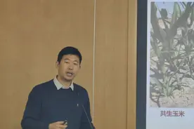 又一次见识大自然“智慧”，上海科学家揭示植物分清“敌友”的奥秘图片