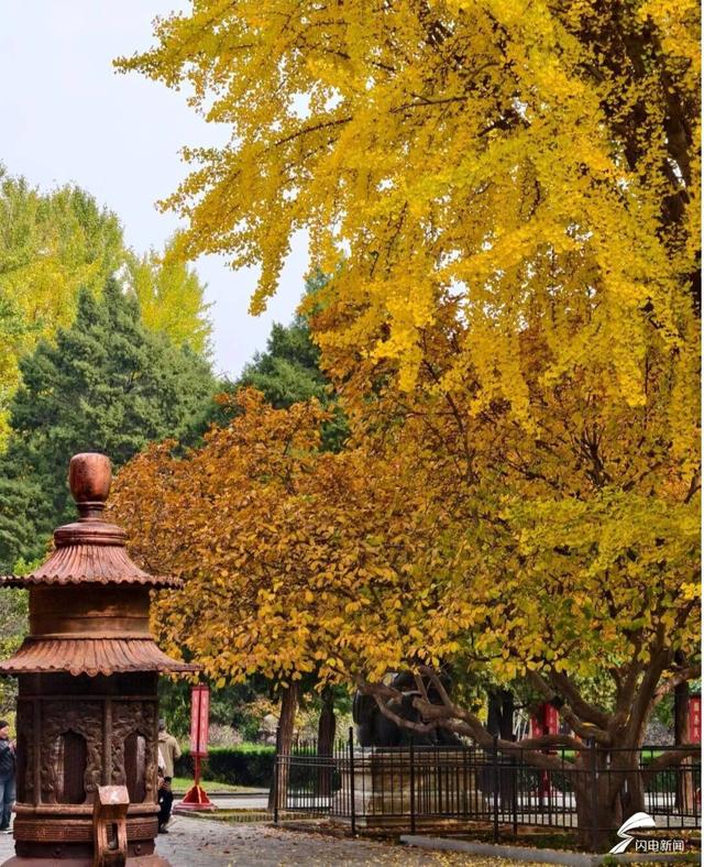 组图丨一大波美图来袭！泰山景区9个赏秋地超出片