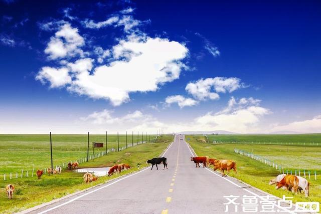 秋日的坝上草原，是天地间最恣意的写意画卷