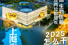 2025怎么干｜上海嘉定：三个千亿级产业总产出实现两位数增长图片