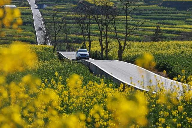 这条路超美超出圈！2月1日，一起来跑吧！