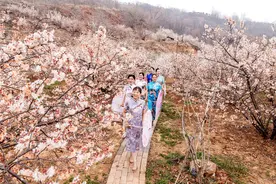 春日赏花正当时 河南多地花海醉游人图片
