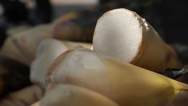 白沙村，更美了！