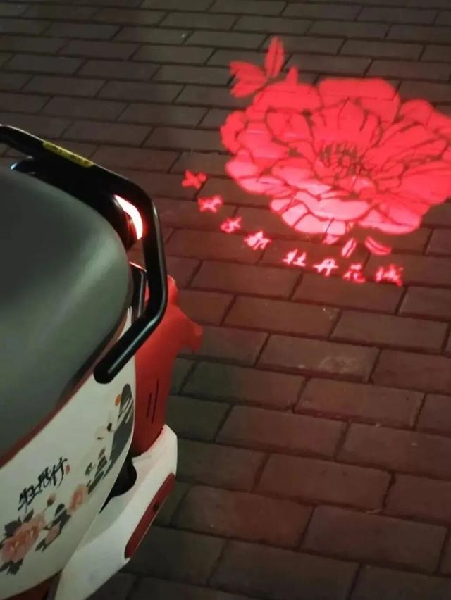 起猛了，我在洛阳被「牡丹」包围了！