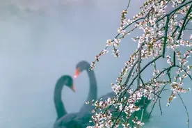 确定了！他们要来无锡！图片