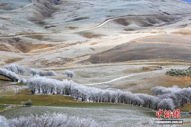 贵州威宁：雾凇作丹青 绘就高原美景