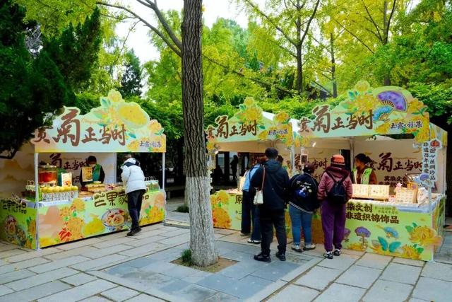 第46届趵突泉金秋菊展明天开幕！5大亮点抢先看