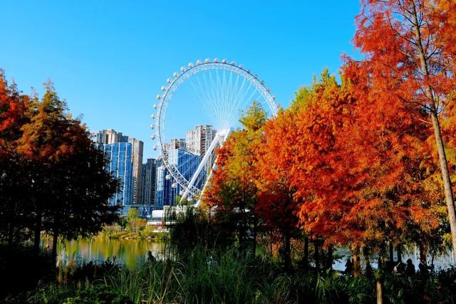 红红火火！这幅八闽“杉”水画等你细细品