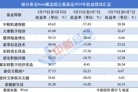 多只Sora概念基金收益率回撤已超20%图片