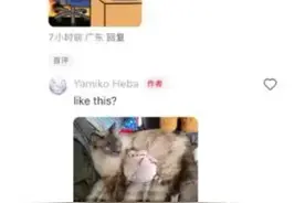 TikTok难民称中国网友非常热情:一天涨粉超6000图片