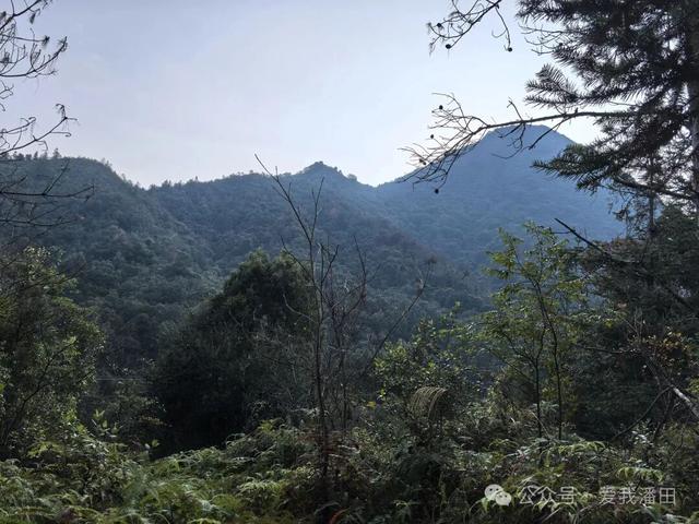 打卡丰顺尖笔岽！看狗探石奇观，瞰半山水库，一览三镇美景